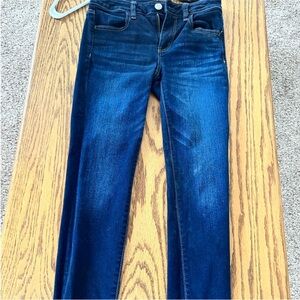 American Eagle Outfitters Dark Blue Skinny Jeans size 4 Next Level Stretch